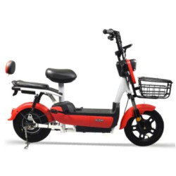Lead-Acid Battery Electric Scooter Electric Bike City Bicycle Motorcycle Lead-Acid Battery Electric Scooter Electric Bike City Bicycle Motorcycle
