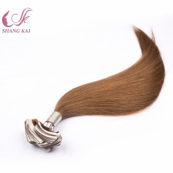 Top Grade Virgin Cuticle Aligned Russian Hair Remy Tape in Hair Extensions Top Grade Virgin Cuticle Aligned Russian Hair Remy Tape in Hair Extensions